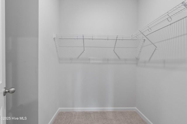 250 Arnette Dr Unit 83B, Ocean Isle Beach, NC 28469 - walk in closet featuring carpet floors