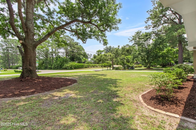 352 Brenda Dr, Wilmington, NC 28409 - view of green lawn