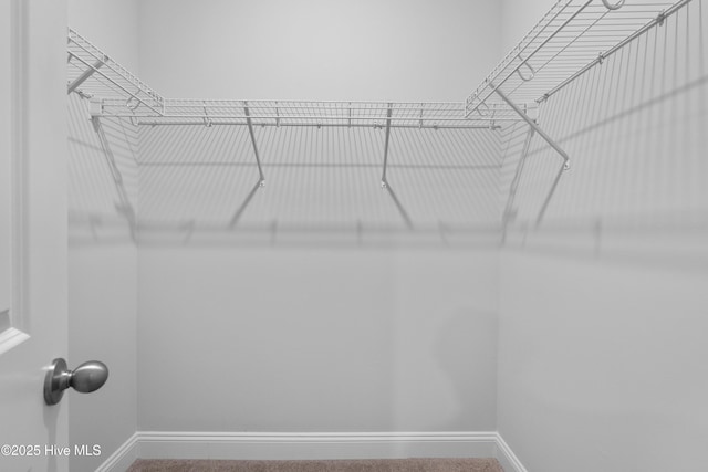 254 Arnette Dr Unit 82B, Shallotte, NC 28469 - spacious closet featuring carpet floors