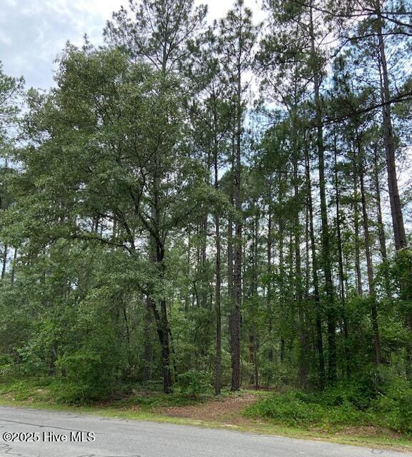 45 Loblolly Ct, Wagram, NC 28396
