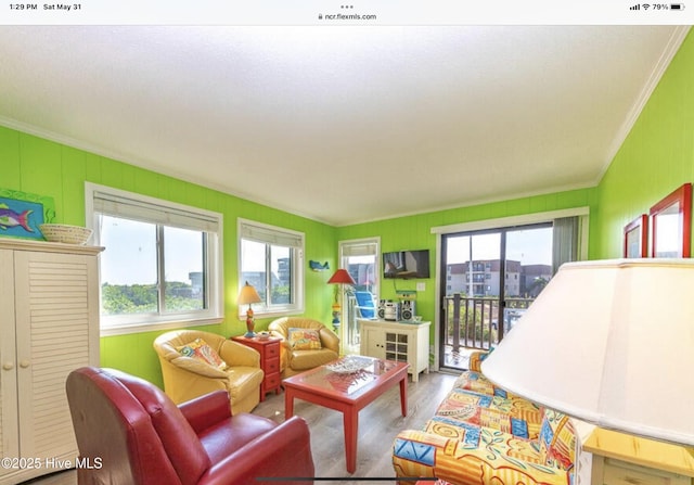 2008 E Ft Macon Rd Unit A6, Atlantic Beach, NC 28512 - living room with crown molding and wood finished floors