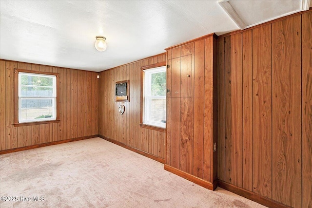 110 Texanna Ln, Raeford, NC 28376 - empty room with baseboards, light carpet, and wood walls