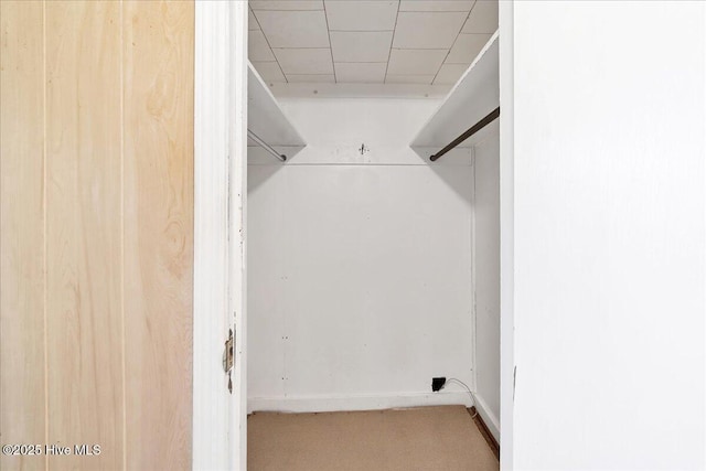 110 Texanna Ln, Raeford, NC 28376 - view of spacious closet