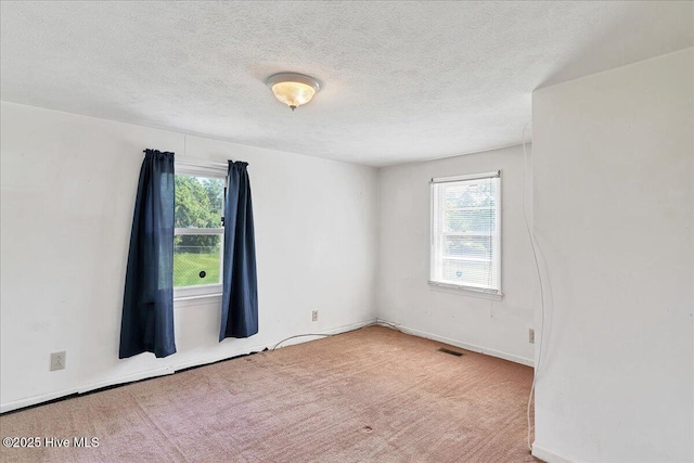 110 Texanna Ln, Raeford, NC 28376 - spare room featuring healthy amount of natural light, carpet flooring, a textured ceiling, and baseboards