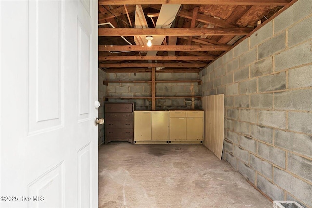110 Texanna Ln, Raeford, NC 28376 - below grade area with concrete block wall