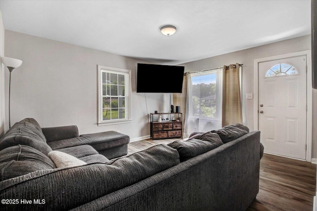 209 Bunche Dr, Goldsboro, NC 27530 - living room featuring plenty of natural light, dark wood-style flooring, and baseboards