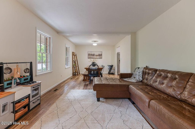 1809 E Indiana Ave, Southern Pines, NC 28387 - living room with light wood-style floors and baseboards