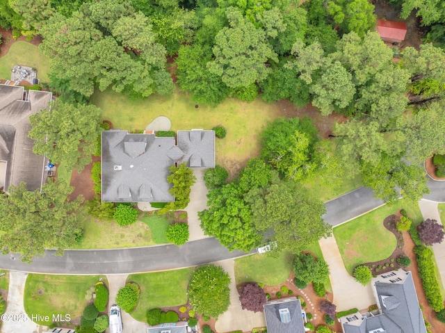423 White Columns Way, Wilmington, NC 28411 - aerial view