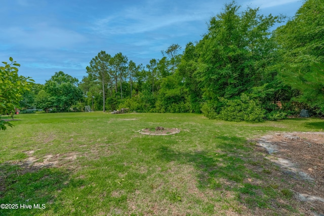 142 Magens Way, Cedar Point, NC 28584 - view of yard
