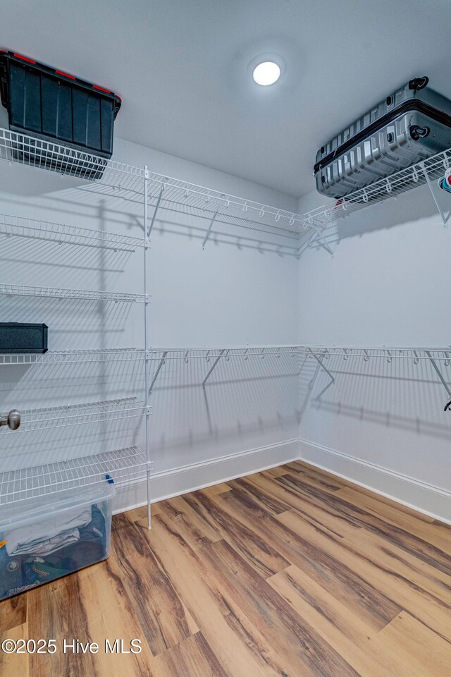 1279 Pandion Dr, Wilmington, NC 28411 - spacious closet featuring wood finished floors