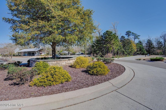 7406 Songbird Ct, Wilmington, NC 28411 - view of surrounding community