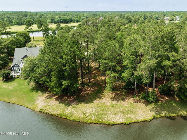 166 Falls Landing Way, Wallace, NC 28466