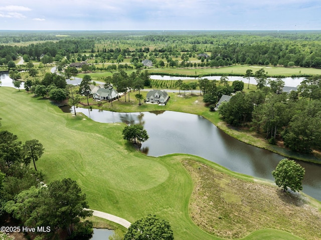 166 Falls Landing Way, Wallace, NC 28466