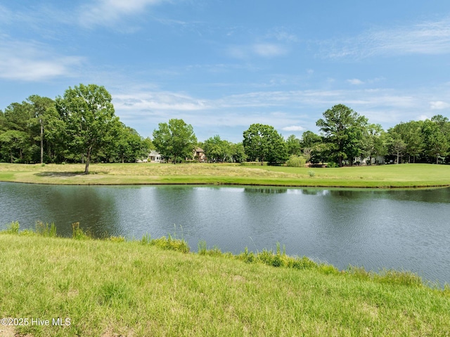 166 Falls Landing Way, Wallace, NC 28466
