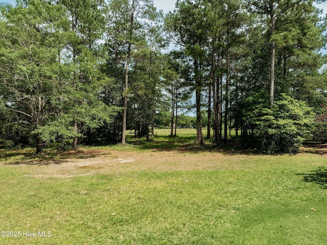 166 Falls Landing Way, Wallace, NC 28466