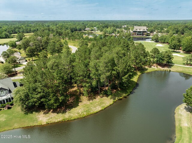 166 Falls Landing Way, Wallace, NC 28466