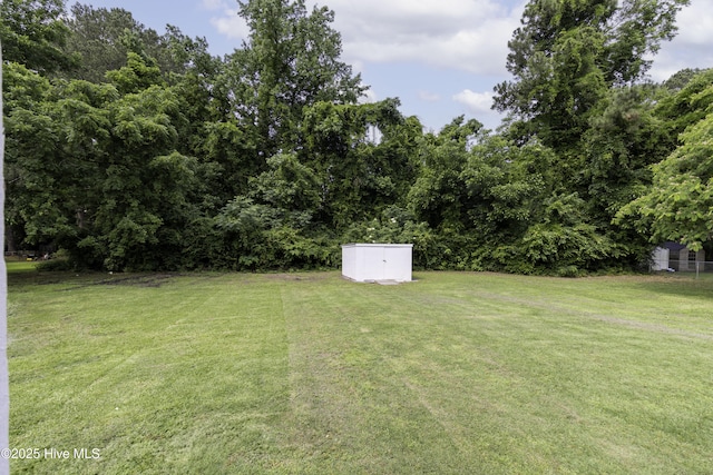 502 Sterlingworth St, Windsor, NC 27983 - view of green lawn