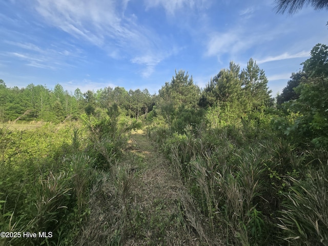 5 Keys Cross Rd, Hobbsville, NC 27946 - view of woods