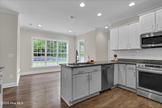1113 Foxbow Cv, Leland, NC 28451 - kitchen with stainless steel appliances, a sink, ornamental molding, a peninsula, and dark wood-style floors