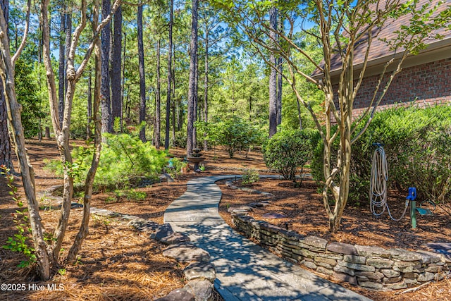 31 Pinewild Dr, Pinehurst, NC 28374 - view of property's community