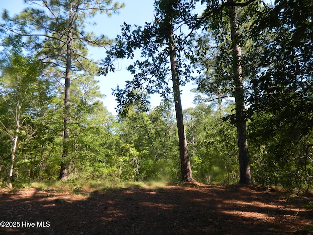 178 Laurel Oak Ln, Pinebluff, NC 28373