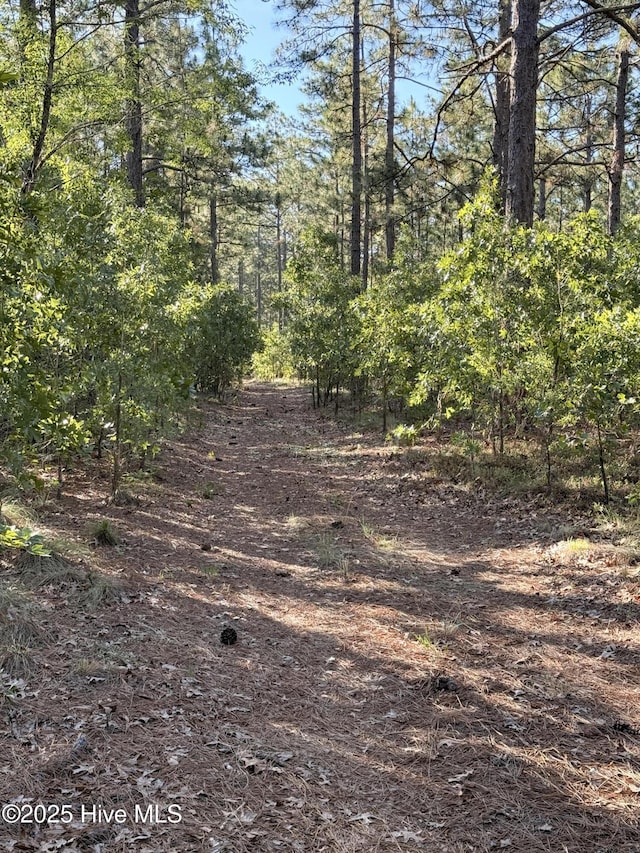 178 Laurel Oak Ln, Pinebluff, NC 28373