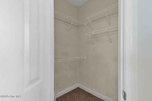 127 Moonstone Ct, Jacksonville, NC 28546 - view of walk in closet