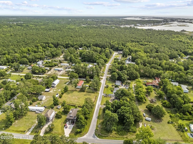 601 Mary Ann Dr, Hampstead, NC 28443 - bird's eye view of a heavily wooded area and a nearby body of water