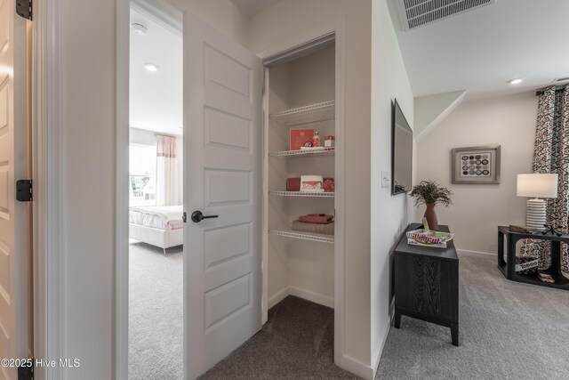 1016 Fawn Valley Way, Wilmington, NC 28409 - view of storage area