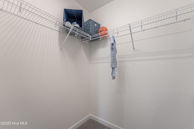 1016 Fawn Valley Way, Wilmington, NC 28409 - view of walk in closet