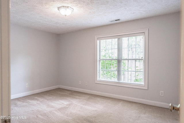 114 Baker Cir W, End, NC 27376 - spare room with plenty of natural light, light carpet, baseboards, and a textured ceiling