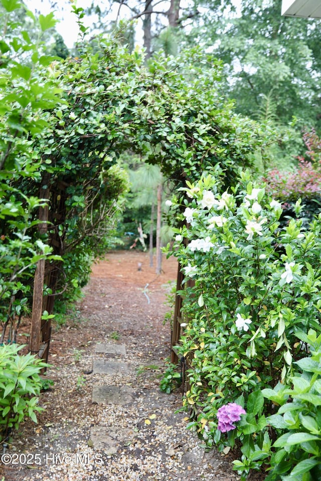 275 Pinehurst Trace Dr, Pinehurst, NC 28374 - view of nature
