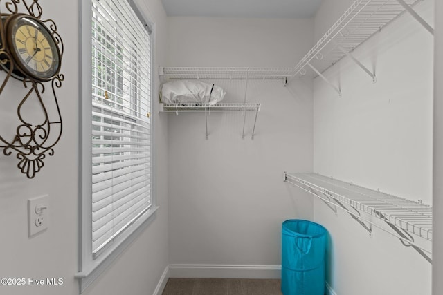 3101 Redfield Dr, Leland, NC 28451 - spacious closet with carpet flooring