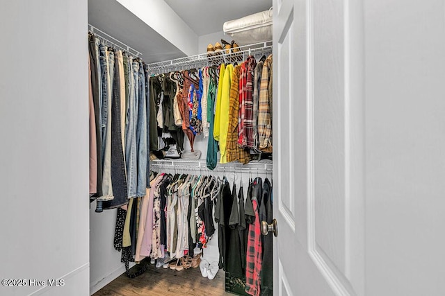105 Sea Turtle Cv, Sneads Ferry, NC 28460 - walk in closet featuring wood finished floors