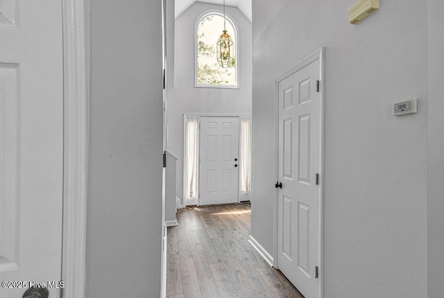 105 Sea Turtle Cv, Sneads Ferry, NC 28460 - foyer with hardwood / wood-style flooring, high vaulted ceiling, and baseboards