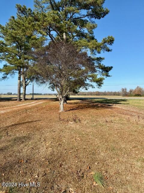 1164 Ocean Hwy N, Hertford, NC 27944 - view of green lawn