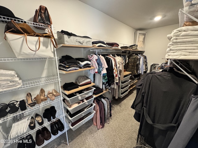 134 Longhorn Rd, Jacksonville, NC 28546 - walk in closet featuring carpet flooring