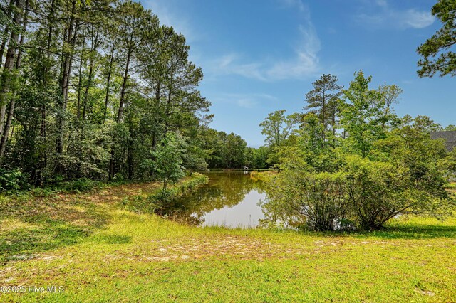 1711 Heather Run Ct SE, Bolivia, NC 28422 - water view with a forest