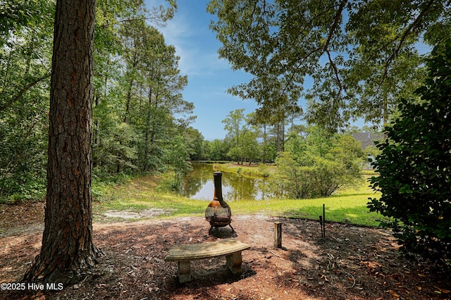 1711 Heather Run Ct SE, Bolivia, NC 28422 - view of yard featuring a water view