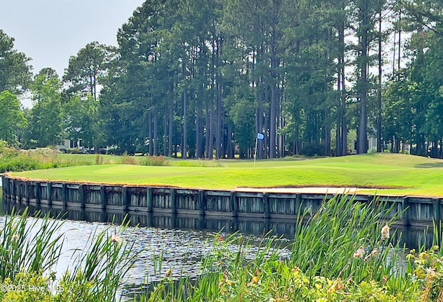 1711 Heather Run Ct SE, Bolivia, NC 28422 - view of community with a yard and view of golf course