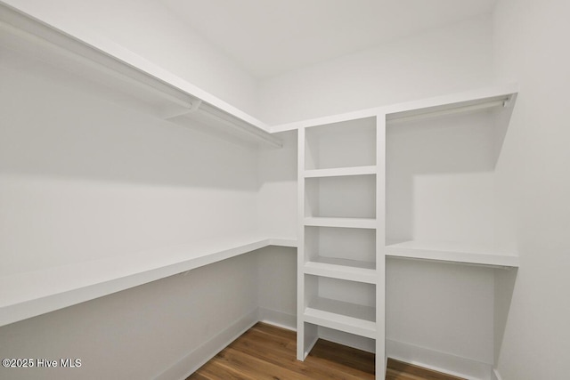 189 Craven Ct, Calabash, NC 28467 - walk in closet with wood finished floors