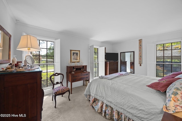 103 Camelia Dr, Washington, NC 27889 - bedroom with ornamental molding, light carpet, and multiple windows