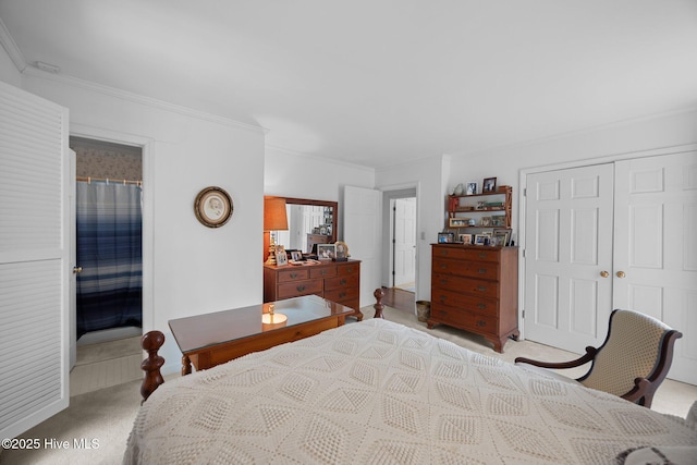 103 Camelia Dr, Washington, NC 27889 - carpeted bedroom featuring ornamental molding, a closet, and ensuite bath