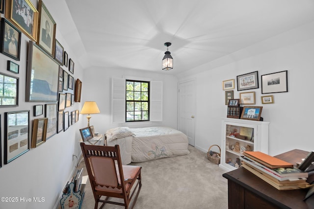 103 Camelia Dr, Washington, NC 27889 - bedroom with carpet flooring and baseboards