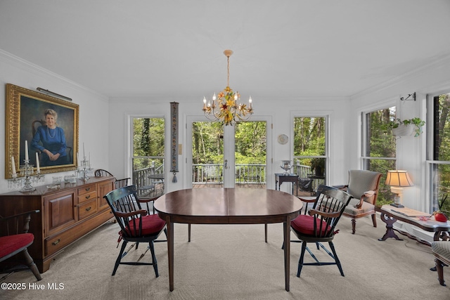 103 Camelia Dr, Washington, NC 27889 - dining area with french doors, a chandelier, plenty of natural light, light carpet, and ornamental molding