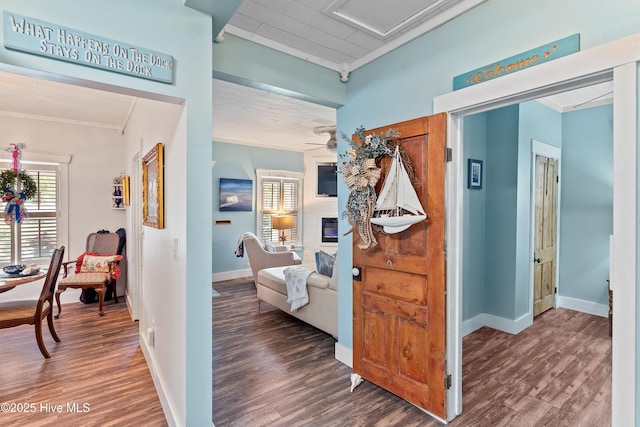 209 W St George St, Southport, NC 28461 - hallway featuring crown molding, wood finished floors, and baseboards