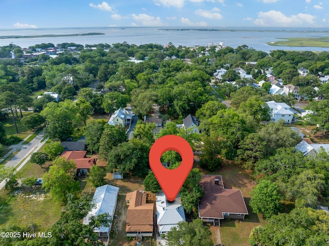 209 W St George St, Southport, NC 28461 - aerial perspective of suburban area with a large body of water and a tree filled landscape