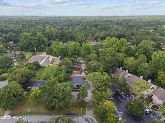 5302 Autumn Dr, Wilmington, NC 28409 - aerial view of residential area featuring a forest