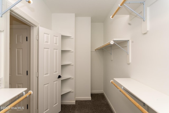 24 Mcnish Rd, Southern Pines, NC 28387 - spacious closet featuring dark colored carpet
