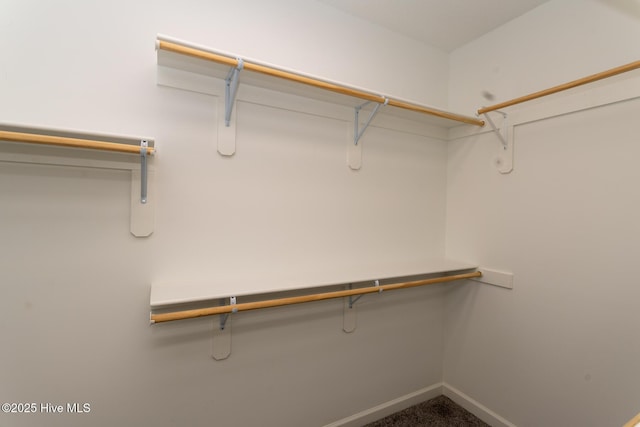 24 Mcnish Rd, Southern Pines, NC 28387 - spacious closet with carpet floors